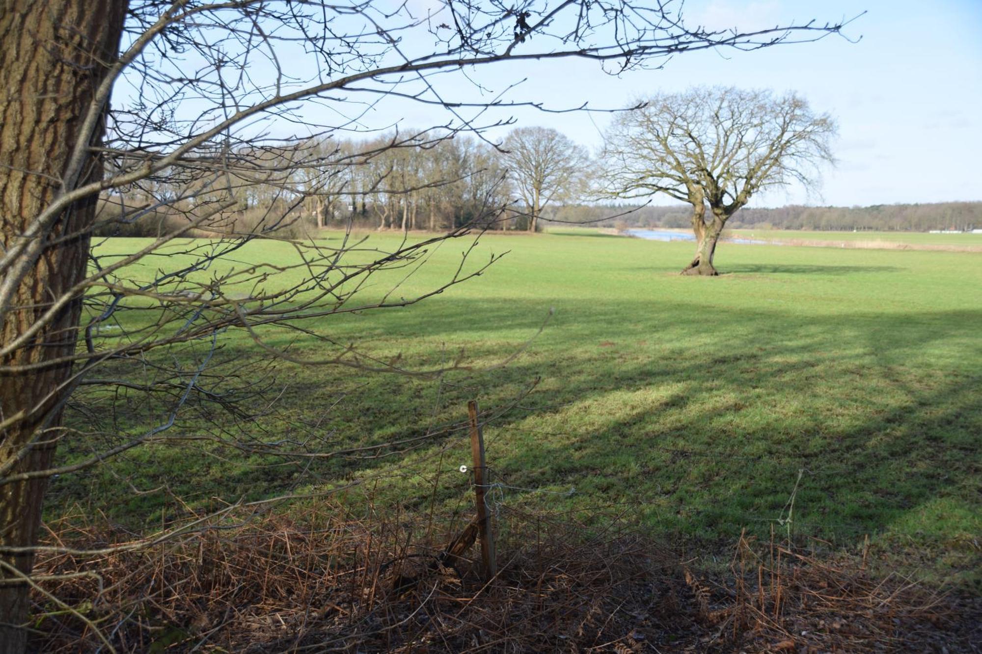 Vakantiehuis De Veldhoen Vrijgelegen Nabij De Rivier De Vecht Beerze Luaran gambar