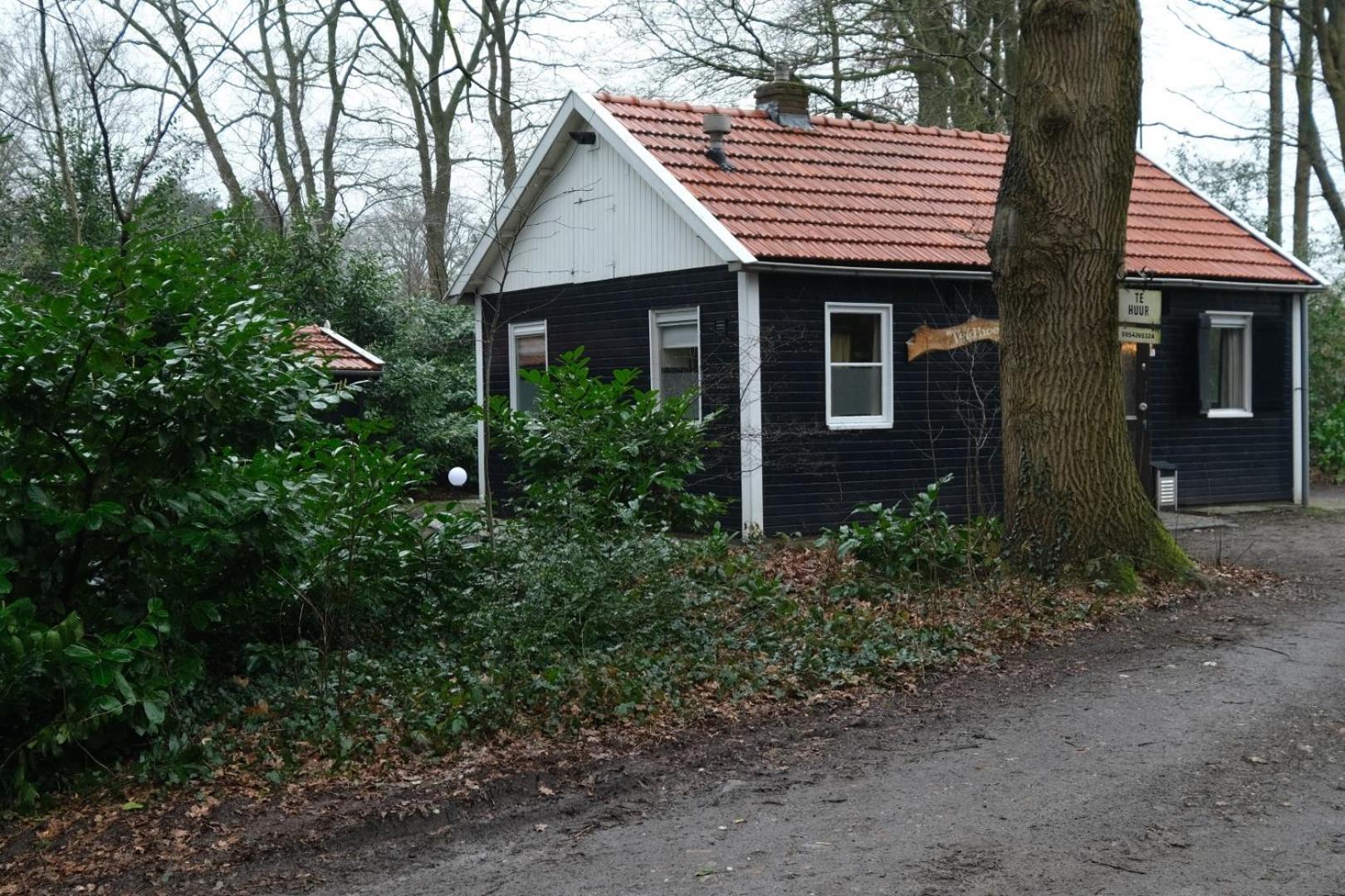 Vakantiehuis De Veldhoen Vrijgelegen Nabij De Rivier De Vecht Beerze Luaran gambar