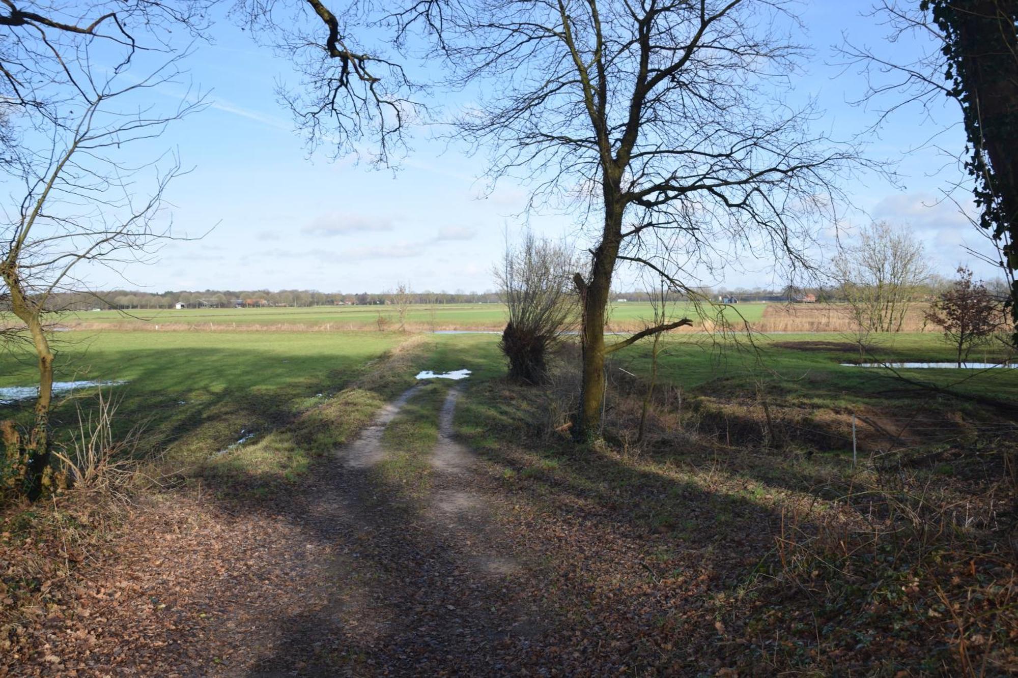 Vakantiehuis De Veldhoen Vrijgelegen Nabij De Rivier De Vecht Beerze Luaran gambar