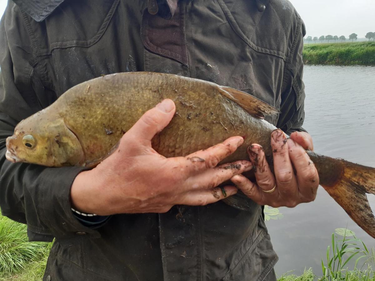 Vakantiehuis De Veldhoen Vrijgelegen Nabij De Rivier De Vecht Beerze Luaran gambar
